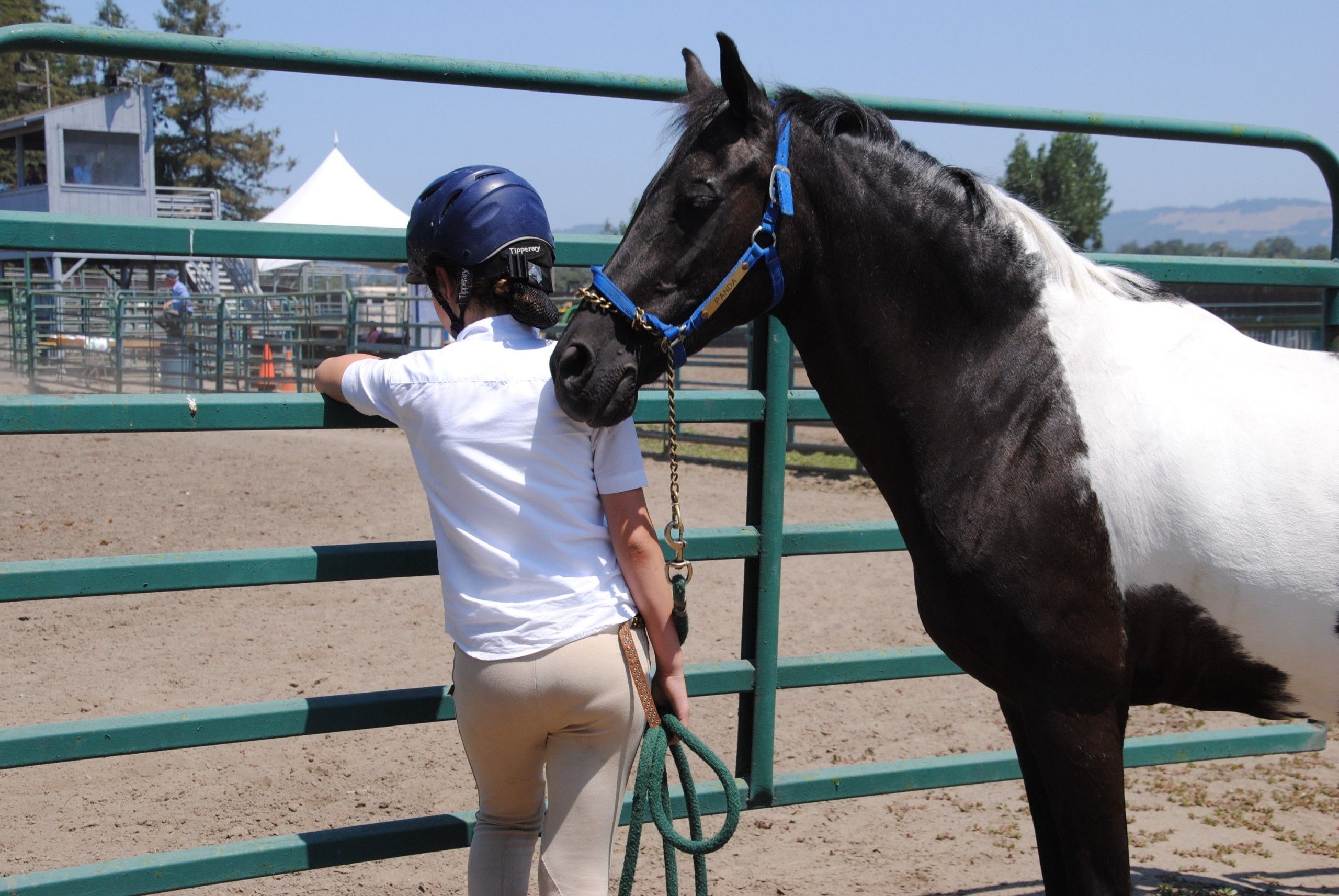 Intimate moment at 'The Farm | Sonoma,' rider and piebald horse bonding before a ride.