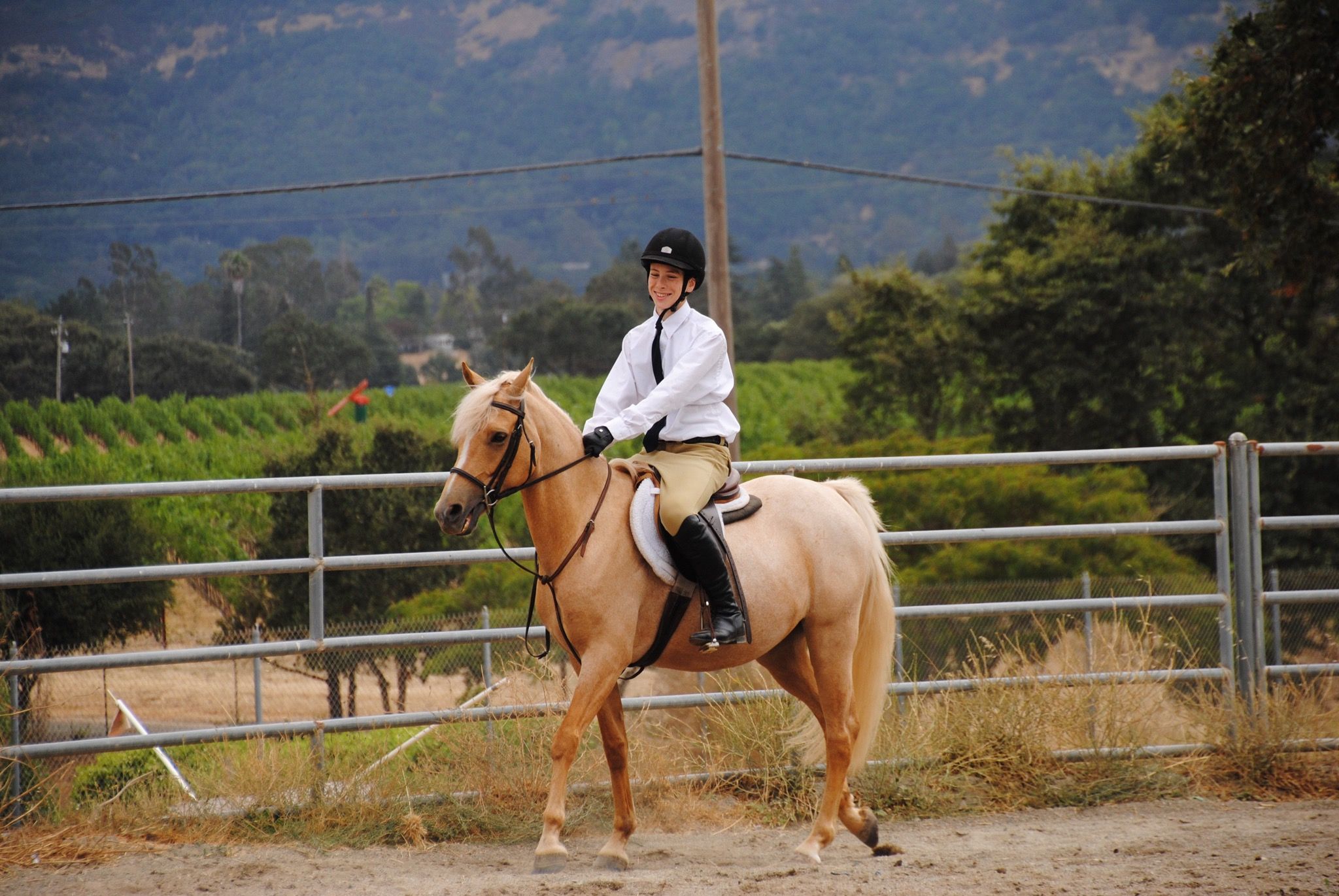 Rider on a palomino at 'The Farm | Sonoma' equestrian center, tranquil countryside backdrop.