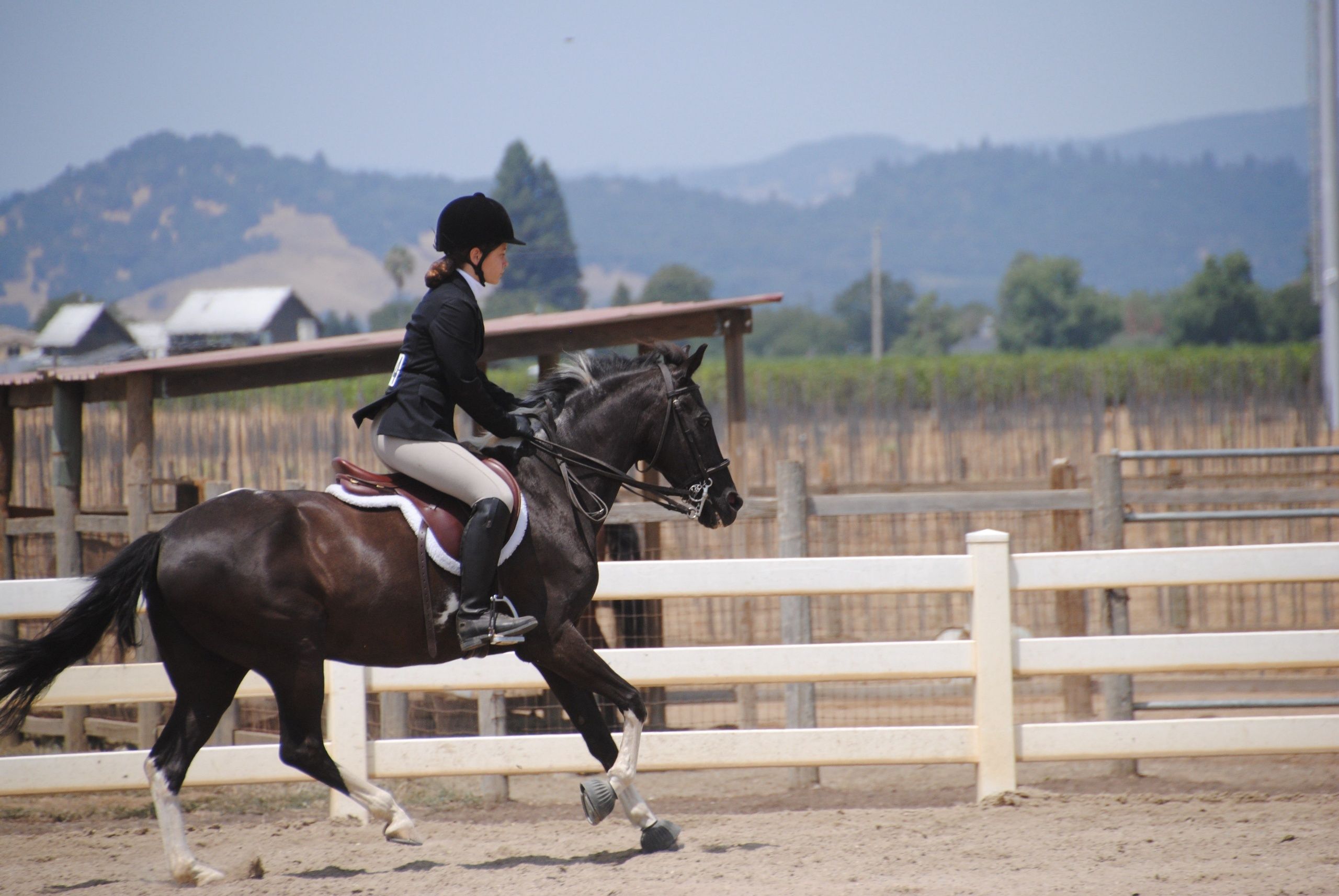 Equestrian in action at 'The Farm | Sonoma,' with hills backdrop, for riding enthusiasts.